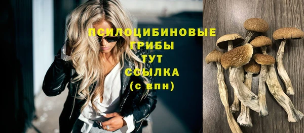 молекула духа Армянск