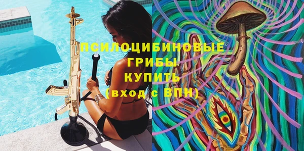 дживик Алзамай