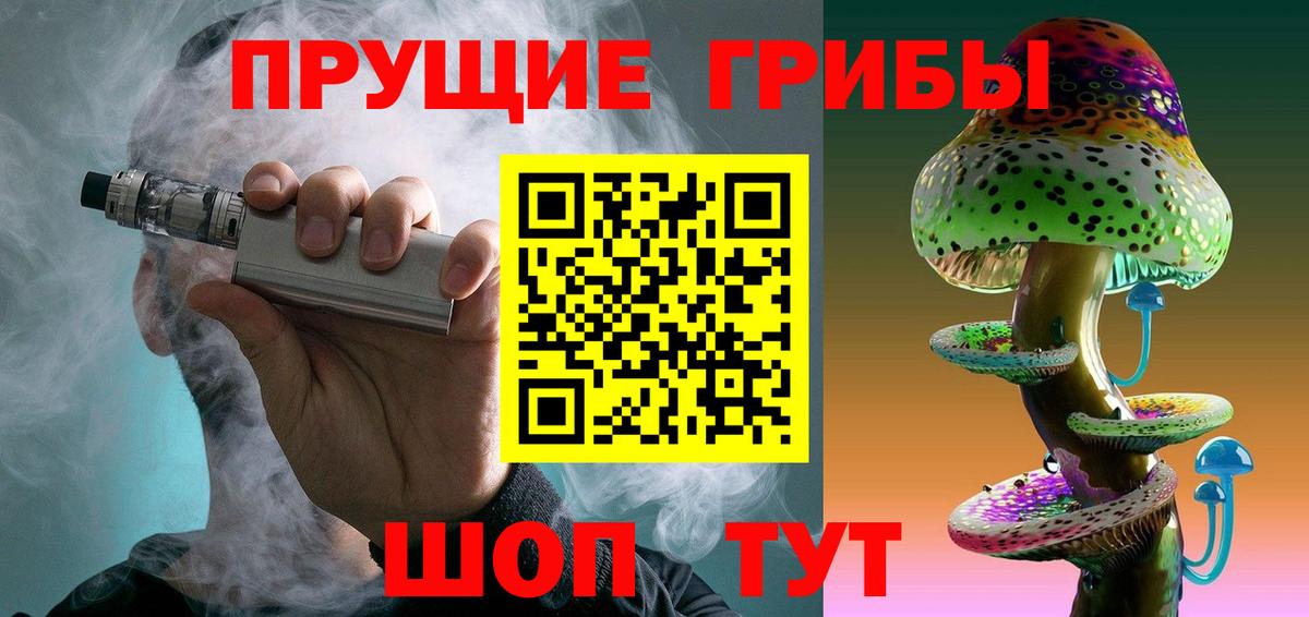продажа наркотиков  Вход с VPN  Новодвинск  Псилоцибиновые грибы GOLDEN TEACHER 